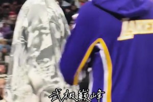 留给布朗尼的时间不多了，老父亲应该也很急